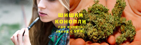винт Осташков