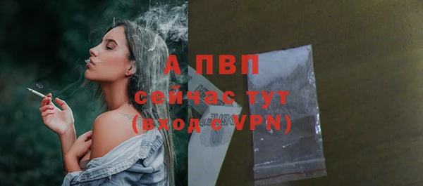 шишки Осинники