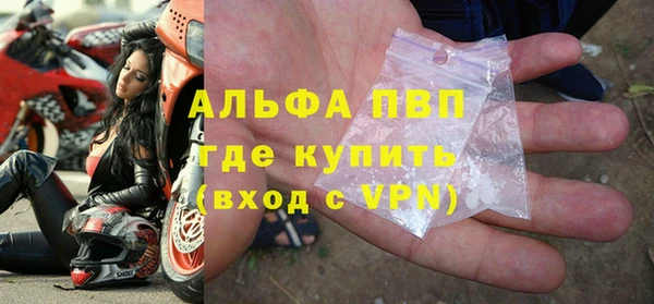 шишки Осинники