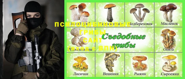эйфоретик Нязепетровск