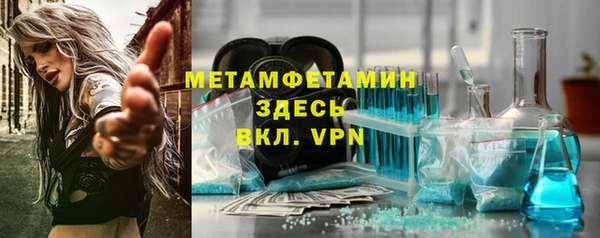 шишки Осинники