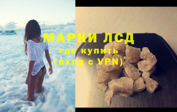 шишки Осинники
